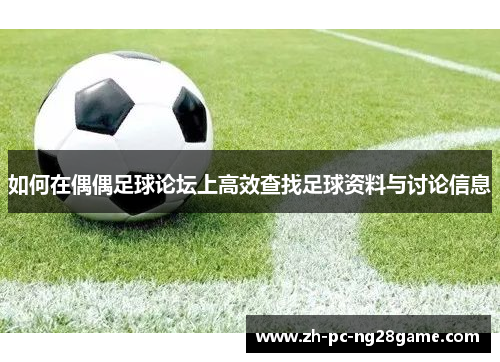 如何在偶偶足球论坛上高效查找足球资料与讨论信息