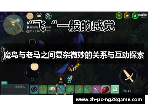 魔鸟与老马之间复杂微妙的关系与互动探索