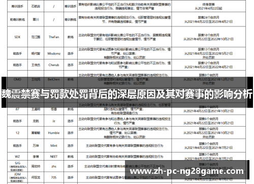 魏震禁赛与罚款处罚背后的深层原因及其对赛事的影响分析